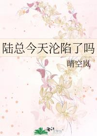 陆总今天也在