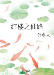 红楼之仙路txt外乡人