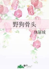 野狗骨头类似推荐