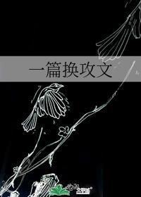 有一篇换攻文名字特别文艺