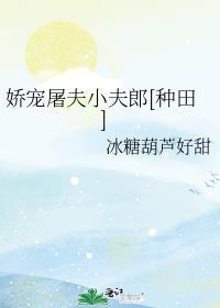 娇宠屠夫小夫郎[种田