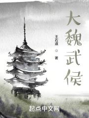 大魏风华女主有几个