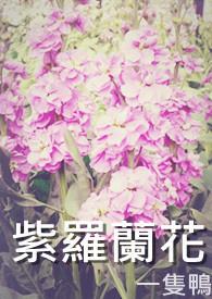 紫罗兰花种植时间和方法
