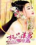 极品美男精英
