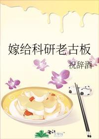 嫁给科研老古板