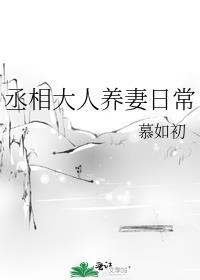 丞相大人养妻日常